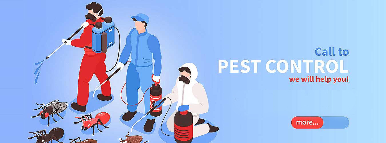 New Solution Pest Control