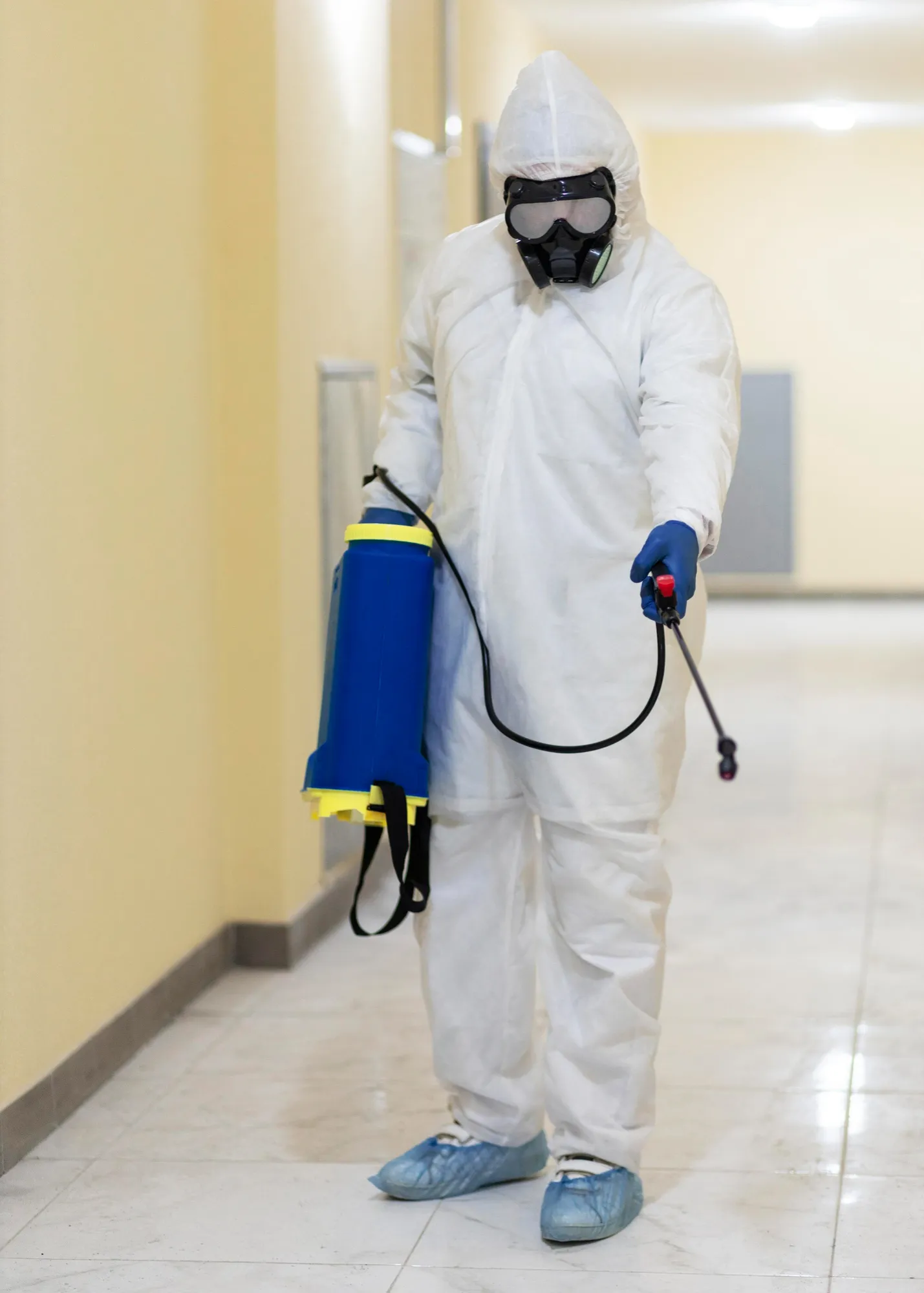 Residential & Commercial Pest Control in Chhattisgarh New Solution Pest Control