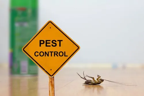 Cockroach Treatment Services in Chhattisgarh