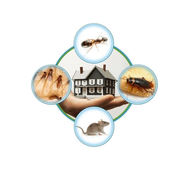 Residential Pest Control in Chhattisgarh
