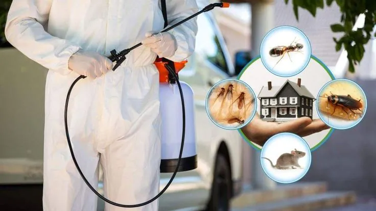 Residential Pest Control in Chhattisgarh