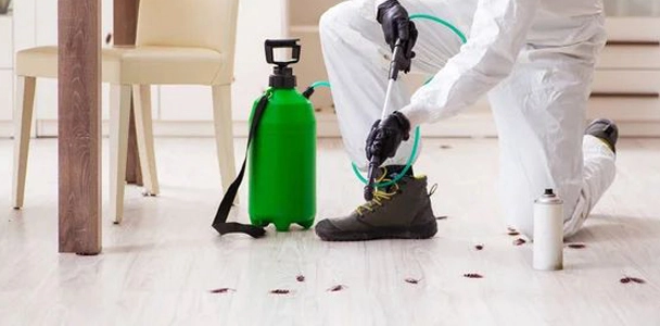Termite Treatment Services in Chhattisgarh